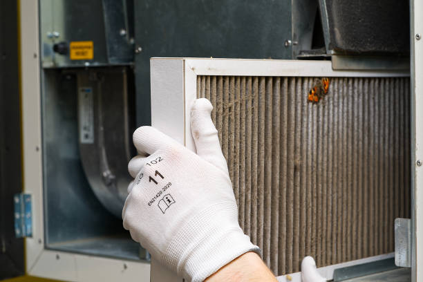Best Home Air Vent Cleaning  in Linwood, PA