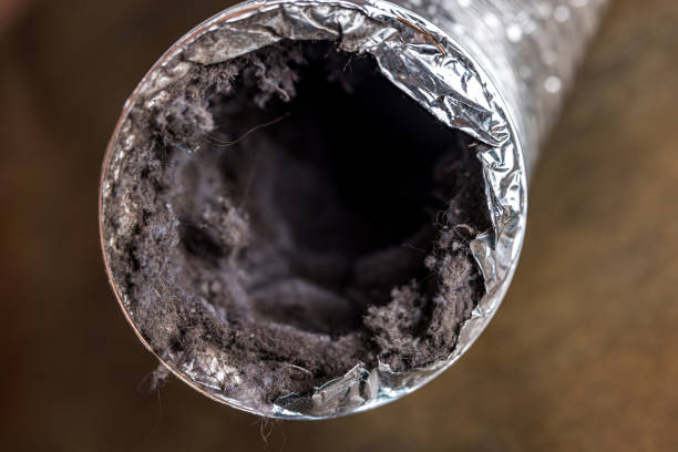 Best Affordable Air Duct Cleaning  in Linwood, PA