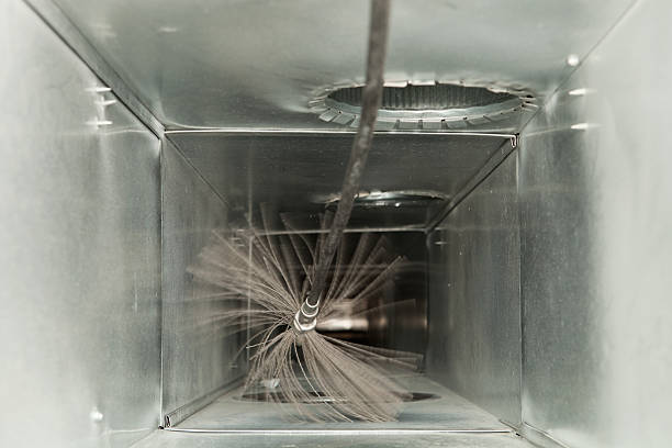 Air Duct Mold Removal in Linwood, PA