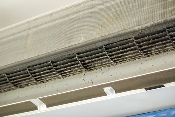 Best Air Quality Test  in Linwood, PA