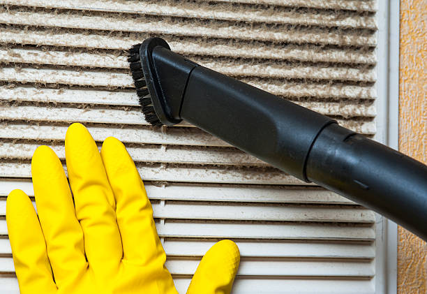 Best Air Duct Mold Removal  in Linwood, PA
